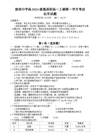四川省射洪中学2024-2025学年高一上学期第一次月考化学试题（强基班）