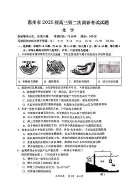 2025届惠州高三上学期10月二调化学试题+答案