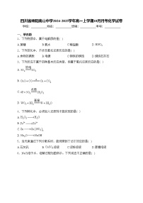 四川省绵阳南山中学2024-2025学年高一上学期10月月考化学试卷(含答案)