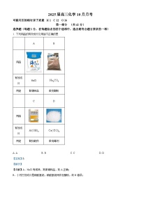 北京市师范大学第二附属中学2024-2025学年高三上学期10月月考化学试卷（Word版附解析）