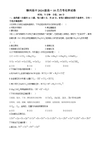 广西柳州高级高中2024-2025学年高一上学期10月月考化学试卷（Word版附答案）