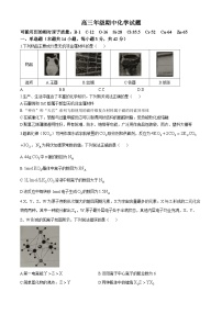 河北省邯郸市武安市第一中学2024-2025学年高三上学期10月期中考试 化学试题(无答案)