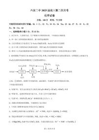 化学丨安徽省六安市第二中学2025届高三10月月考化学试卷及答案