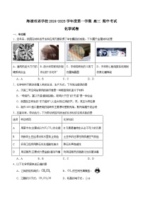 广东省东莞市海德双语学校2024-2025学年高三上学期10月期中考试化学试题