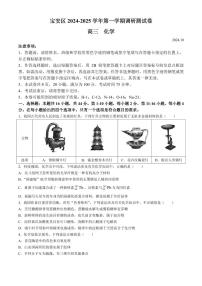 广东深圳宝安区2025届高三上学期10月调研化学试题（含答案）
