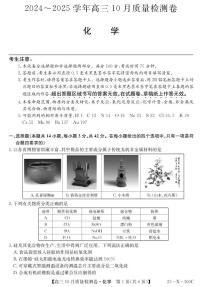 山西三晋卓越联盟2025届高三上学期10月质检化学试卷+答案