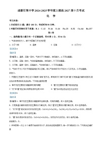 四川省成都市石室中学2024-2025学年高一上学期10月月考化学试卷（Word版附解析）