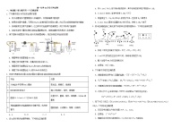 山东省烟台市中英文学校2024-2025学年高一上学期10月月考 化学试题