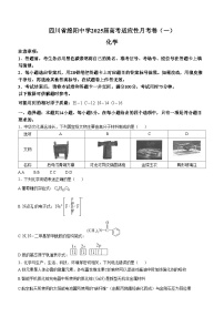 四川省绵阳市绵阳中学2024-2025学年高三上学期适应性考试（模拟预测）化学试卷（Word版附解析）