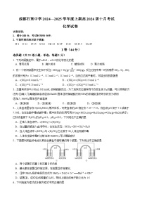 四川省成都市石室中学2024-2025学年高二上学期10月月考化学试卷（Word版附答案）