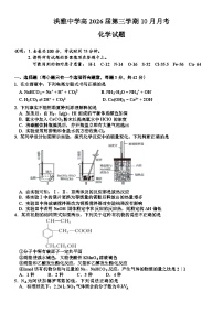 四川省眉山市洪雅中学校2024-2025学年高二上学期10月月考  化学试题