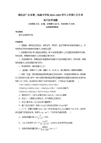 湖北省随州市广水市第二高级中学2024-2025学年高三上学期10月月考 化学试题