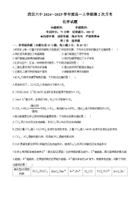 湖北省武汉市第六中学2024-2025学年高一上学期第2次月考化学试卷