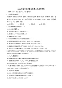 湖南省岳阳市临湘市2024-2025学年高一上学期10月月考  化学试题