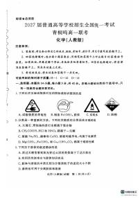 河南省部分学校2024-2025学年高一上学期10月青铜鸣联考 化学试题