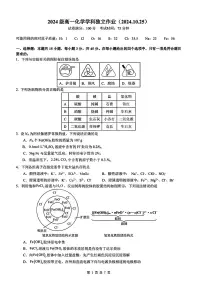 湖北省华中师范大学第一附属中学2024-2025学年高一上学期10月月考 化学试题