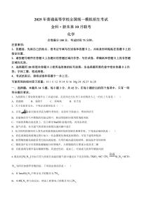 河南省金科新未来2024-2025学年高三上学期10月联考化学试卷+答案