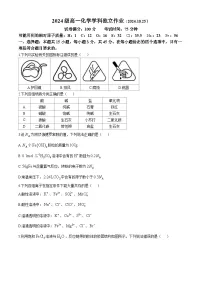 湖北省华中师范大学第一附属中学2024-2025学年高一上学期10月月考 化学试题