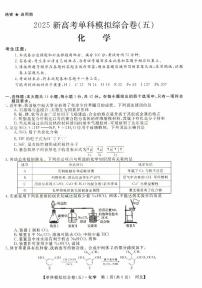 河北省沧州市盐山中学2024-2025学年高三上学期10月月考（单科模拟综合卷五）化学试题