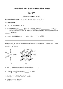 上海市上海中学东校2024-2025学年高三上学期阶段性素质评估化学试卷