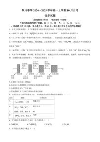 湖北省荆州中学2024～205学年高一上学期10月月考化学试题（含答案）