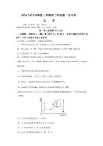 湖南省岳阳市汨罗市第一中学2024～2025学年高二上学期10月月考 化学试题（含答案）