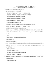 湖南省岳阳市临湘市2024-2025学年高三上学期10月月考 化学试题