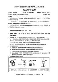 2024年湖北省新八校协作体高三上学期10月联考 化学试题