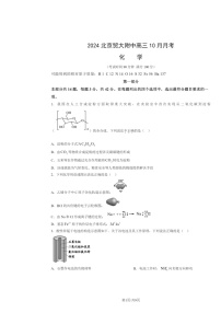 2024北京贸大附中高三上学期10月月考化学试卷