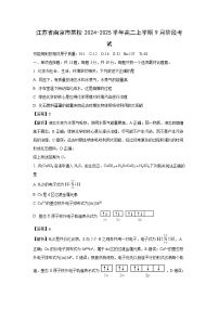 江苏省南京市某校2024-2025学年高二上学期9月阶段化学考试（解析版）