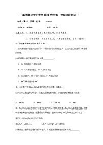 上海市建平世纪中学2024-2025学年高三上学期阶段测试一化学试题（含答案）