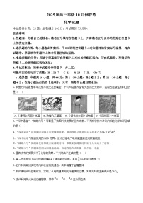 广东省部分学校2024-2025学年高三上学期10月联考化学试题