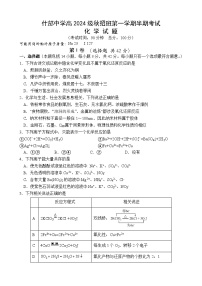 四川省什邡中学2024-2025学年高一上学期11月期中考试 化学试题