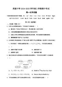 河北省衡水市武强中学2024-2025学年高一上学期期中考试 化学试题