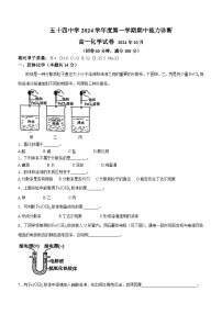 上海市五十四中学2024-2025学年高一上学期期中能力诊断化学试卷(无答案)