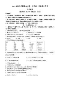 云南省文山市第一中学2024-2025学年高一上学期10月期中考试 化学试题(无答案)