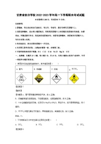 甘肃省部分学校2022-2023学年高一下学期期末考试化学试卷（解析版）