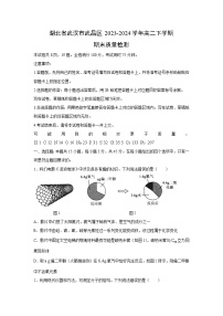 湖北省武汉市武昌区2023-2024学年高二下学期期末质量检测化学试卷