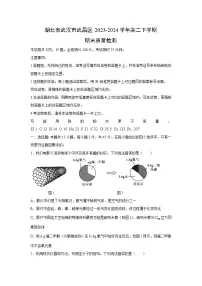 湖北省武汉市武昌区2023-2024学年高二下学期期末质量检测化学试卷