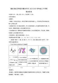 湖北省武汉市部分重点中学2023-2024学年高二下学期期末联考化学试卷(解析版)