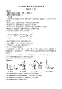 四川省眉山市仁寿第一中学校南校区2024-2025学年高一上学期10月月考 化学试题