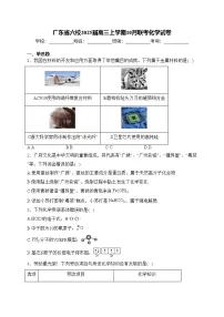 广东省六校2025届高三上学期10月联考化学试卷(含答案)