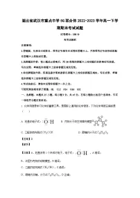 湖北省武汉市重点中学5G联合体2022-2023学年高一下学期期末考试化学试卷(解析版)