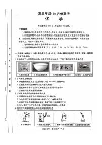 河北金太阳2025届高三10月联考化学试卷（附参考答案）