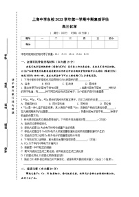 上海市上海中学东校2023-2024学年高三上学期期中考试 化学试题（含答案）