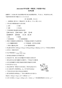 天津市西青区杨柳青第一中学2024-2025学年高二上学期11月期中考试 化学试题