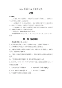 湖南名校联考2025届高三上学期10月月考化学试题+答案