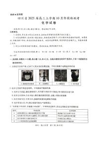 四川省部分学校2025届高三上学期10月联考化学试卷+答案
