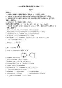 2025届河北省新高考高三10月单科模拟综合卷（三）-化学试题+答案
