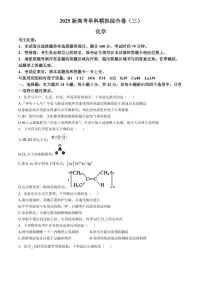 2025届河北省新高考高三10月单科模拟综合卷（三）-化学试题+答案